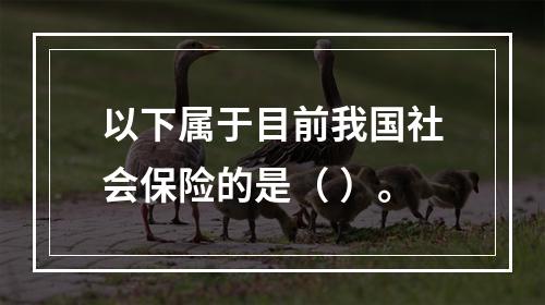 以下属于目前我国社会保险的是（ ）。