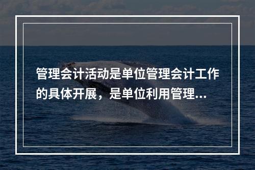 管理会计活动是单位管理会计工作的具体开展，是单位利用管理会计