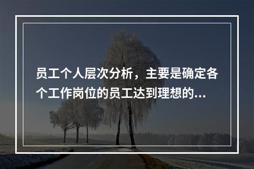 员工个人层次分析，主要是确定各个工作岗位的员工达到理想的工作