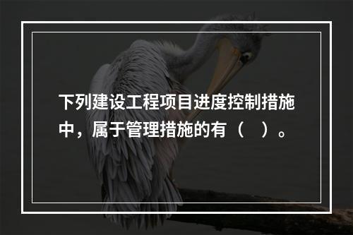 下列建设工程项目进度控制措施中，属于管理措施的有（　）。