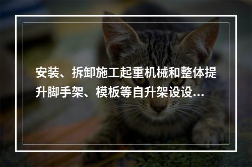 安装、拆卸施工起重机械和整体提升脚手架、模板等自升架设设施，