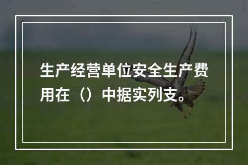 生产经营单位安全生产费用在（）中据实列支。