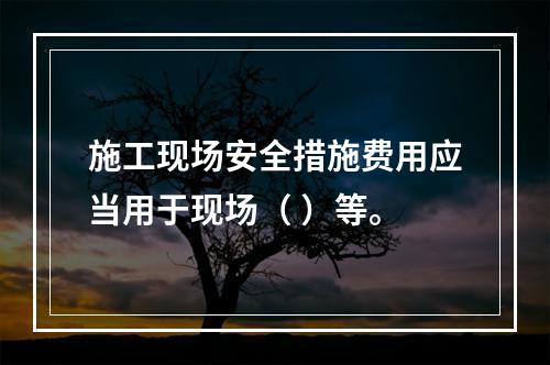 施工现场安全措施费用应当用于现场（ ）等。