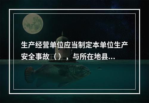 生产经营单位应当制定本单位生产安全事故（ ），与所在地县级以