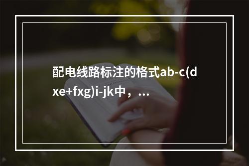 配电线路标注的格式ab-c(dxe+fxg)i-jk中，字母