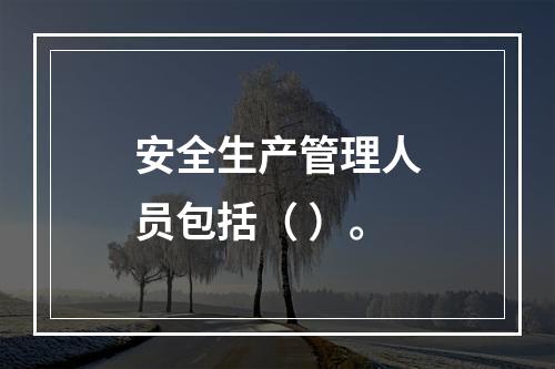 安全生产管理人员包括（ ）。