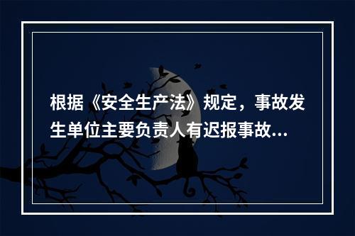 根据《安全生产法》规定，事故发生单位主要负责人有迟报事故行为