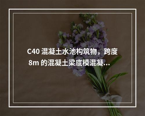 C40 混凝土水池构筑物，跨度 8m 的混凝土梁底模混凝土同