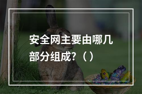 安全网主要由哪几部分组成?（ ）