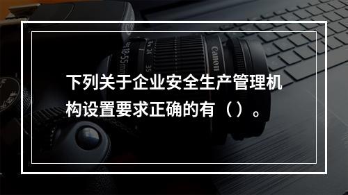 下列关于企业安全生产管理机构设置要求正确的有（ ）。