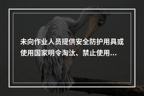 未向作业人员提供安全防护用具或使用国家明令淘汰、禁止使用的危