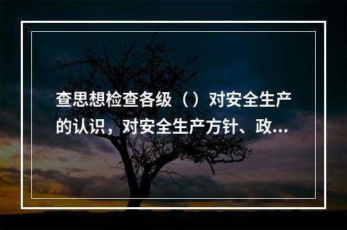 查思想检查各级（ ）对安全生产的认识，对安全生产方针、政策、