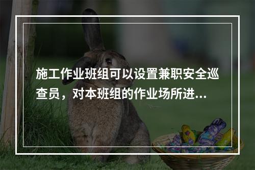 施工作业班组可以设置兼职安全巡查员，对本班组的作业场所进行安