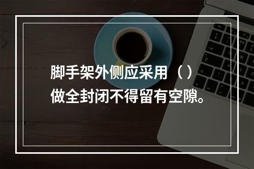 脚手架外侧应采用（ ）做全封闭不得留有空隙。