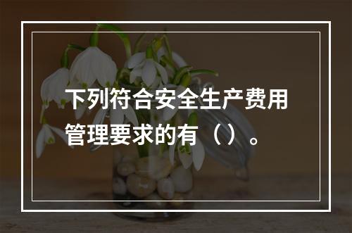 下列符合安全生产费用管理要求的有（ ）。