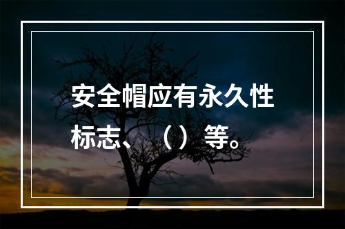 安全帽应有永久性标志、（ ）等。