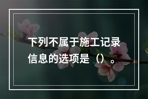 下列不属于施工记录信息的选项是（）。