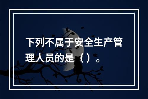 下列不属于安全生产管理人员的是（ ）。