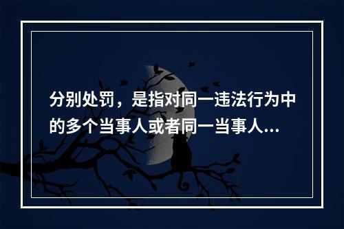 分别处罚，是指对同一违法行为中的多个当事人或者同一当事人不同