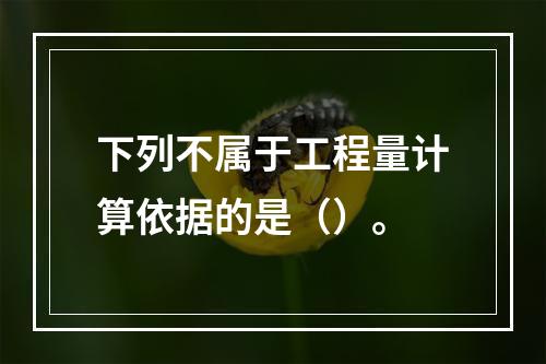 下列不属于工程量计算依据的是（）。