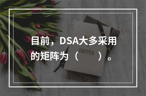 目前，DSA大多采用的矩阵为（　　）。