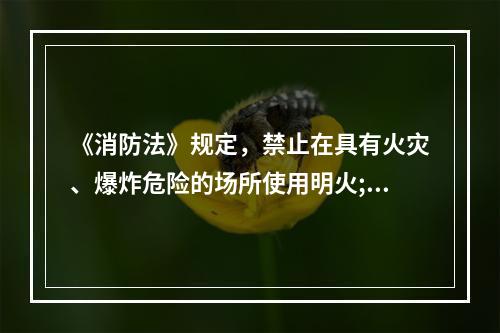 《消防法》规定，禁止在具有火灾、爆炸危险的场所使用明火;因特