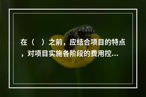 在（　）之前，应结合项目的特点，对项目实施各阶段的费用控制、