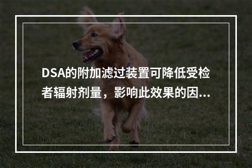 DSA的附加滤过装置可降低受检者辐射剂量，影响此效果的因素不