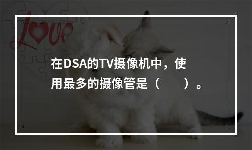 在DSA的TV摄像机中，使用最多的摄像管是（　　）。