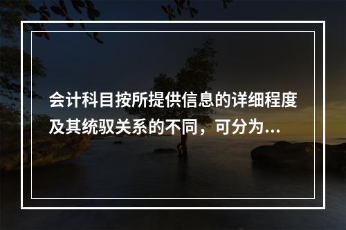 会计科目按所提供信息的详细程度及其统驭关系的不同，可分为（