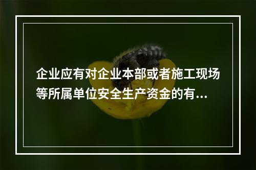 企业应有对企业本部或者施工现场等所属单位安全生产资金的有效投