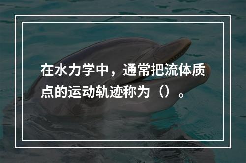 在水力学中，通常把流体质点的运动轨迹称为（）。