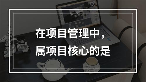 在项目管理中，属项目核心的是