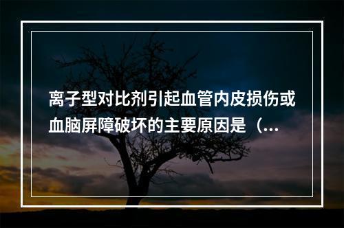 离子型对比剂引起血管内皮损伤或血脑屏障破坏的主要原因是（　　