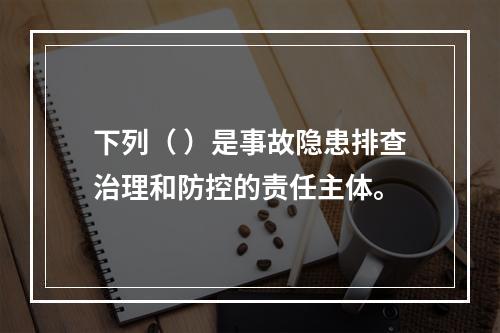 下列（ ）是事故隐患排查治理和防控的责任主体。