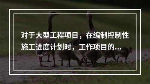 对于大型工程项目，在编制控制性施工进度计划时，工作项目的划分