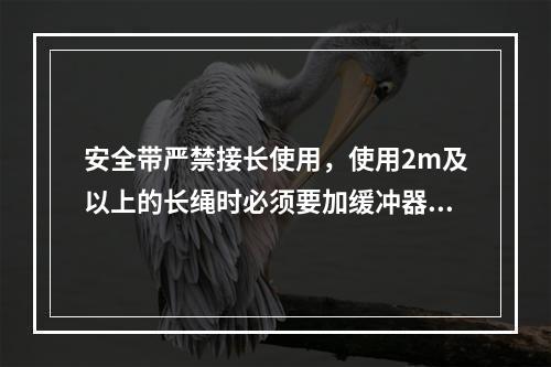 安全带严禁接长使用，使用2m及以上的长绳时必须要加缓冲器，各