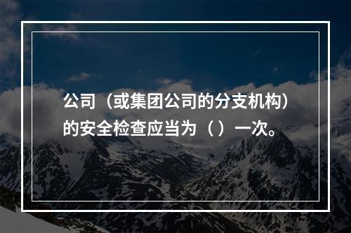 公司（或集团公司的分支机构）的安全检查应当为（ ）一次。