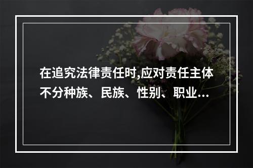 在追究法律责任时,应对责任主体不分种族、民族、性别、职业、社