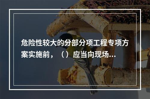 危险性较大的分部分项工程专项方案实施前，（ ）应当向现场管理