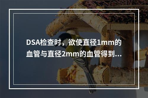 DSA检查时，欲使直径1mm的血管与直径2mm的血管得到同样