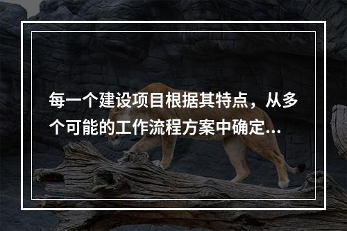 每一个建设项目根据其特点，从多个可能的工作流程方案中确定的主