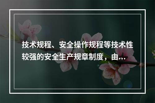 技术规程、安全操作规程等技术性较强的安全生产规章制度，由（