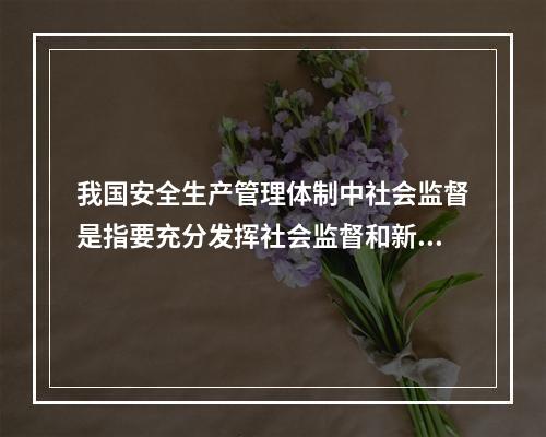 我国安全生产管理体制中社会监督是指要充分发挥社会监督和新闻媒