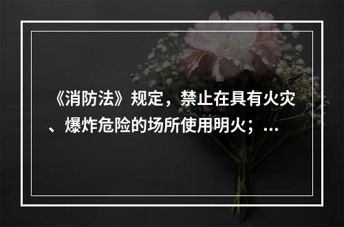 《消防法》规定，禁止在具有火灾、爆炸危险的场所使用明火；因特