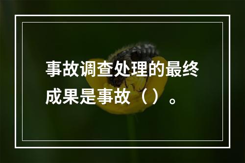 事故调查处理的最终成果是事故（ ）。