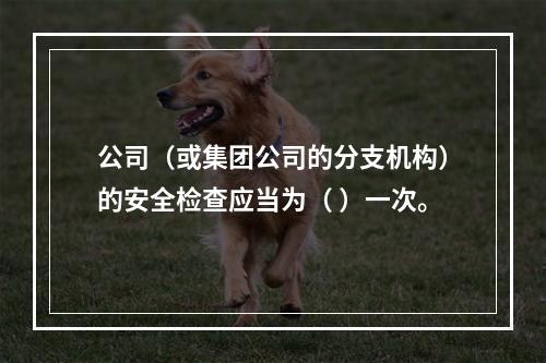 公司（或集团公司的分支机构）的安全检查应当为（ ）一次。