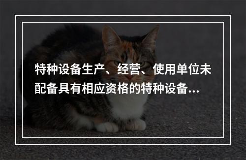 特种设备生产、经营、使用单位未配备具有相应资格的特种设备安全