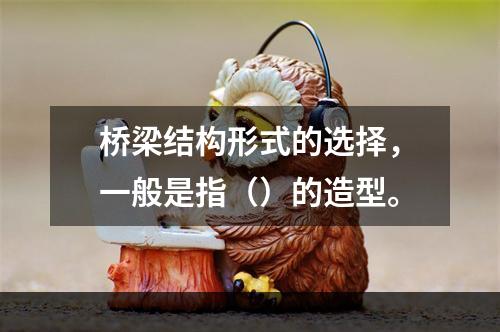 桥梁结构形式的选择，一般是指（）的造型。