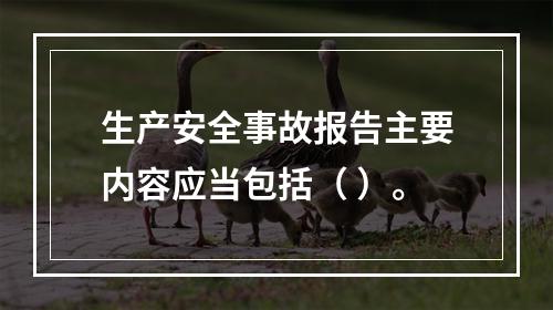 生产安全事故报告主要内容应当包括（ ）。